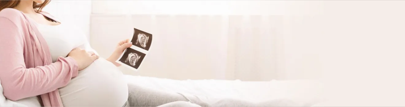 Blog Banner